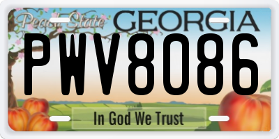 GA license plate PWV8086