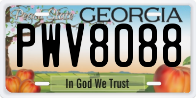 GA license plate PWV8088