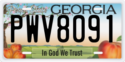 GA license plate PWV8091