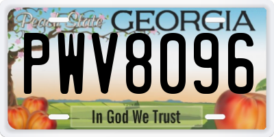 GA license plate PWV8096