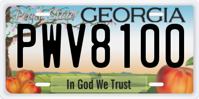 GA license plate PWV8100