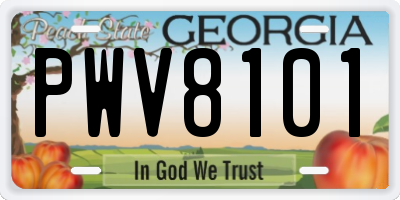 GA license plate PWV8101