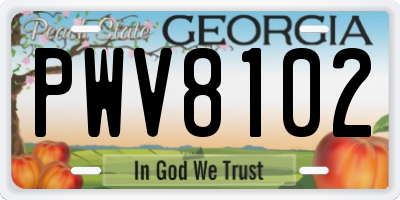 GA license plate PWV8102