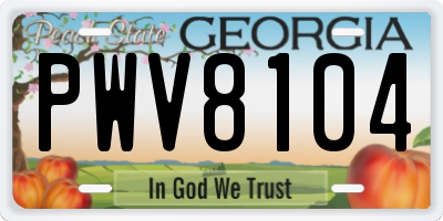 GA license plate PWV8104