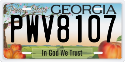 GA license plate PWV8107