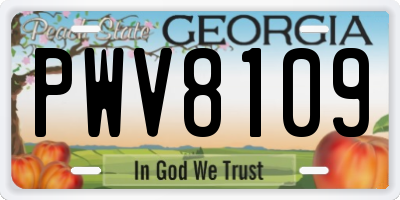 GA license plate PWV8109