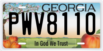 GA license plate PWV8110