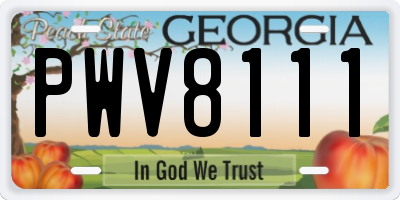 GA license plate PWV8111