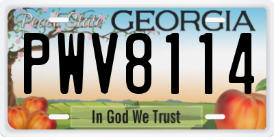 GA license plate PWV8114