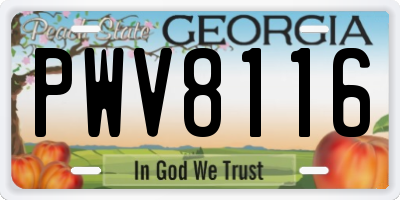 GA license plate PWV8116