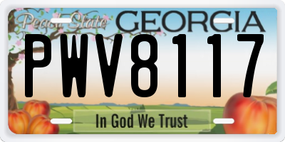 GA license plate PWV8117