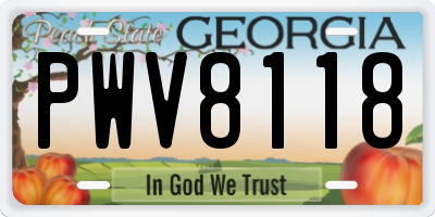 GA license plate PWV8118