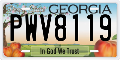 GA license plate PWV8119
