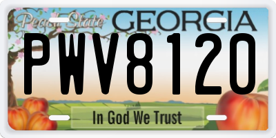 GA license plate PWV8120