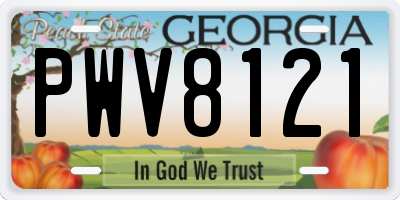 GA license plate PWV8121