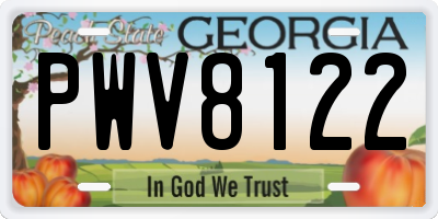 GA license plate PWV8122