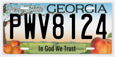 GA license plate PWV8124