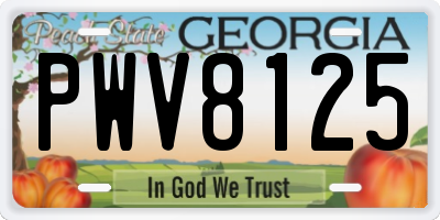 GA license plate PWV8125