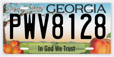 GA license plate PWV8128