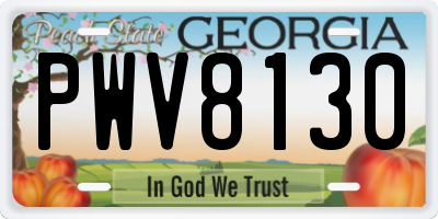 GA license plate PWV8130