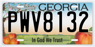 GA license plate PWV8132