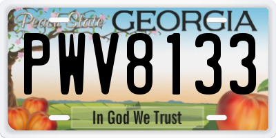 GA license plate PWV8133