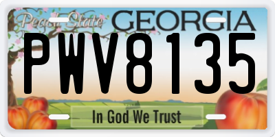 GA license plate PWV8135
