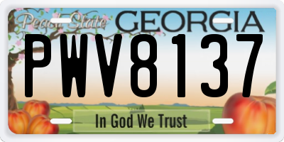 GA license plate PWV8137