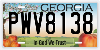 GA license plate PWV8138