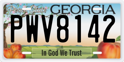 GA license plate PWV8142