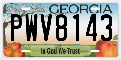 GA license plate PWV8143
