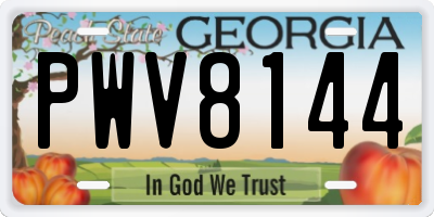 GA license plate PWV8144