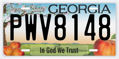 GA license plate PWV8148