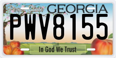GA license plate PWV8155