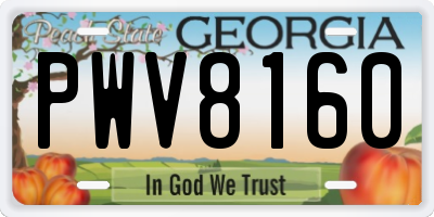 GA license plate PWV8160