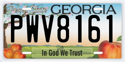 GA license plate PWV8161