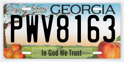 GA license plate PWV8163