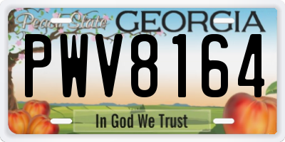 GA license plate PWV8164