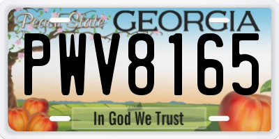 GA license plate PWV8165
