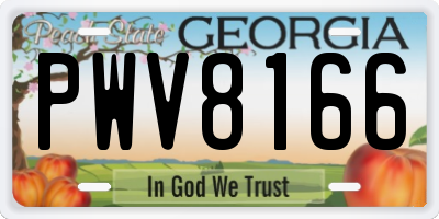 GA license plate PWV8166