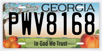 GA license plate PWV8168