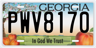 GA license plate PWV8170