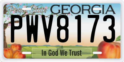 GA license plate PWV8173