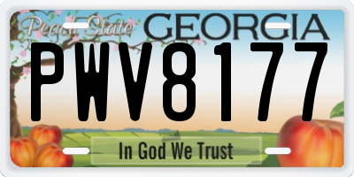 GA license plate PWV8177