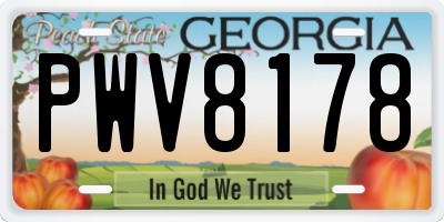 GA license plate PWV8178