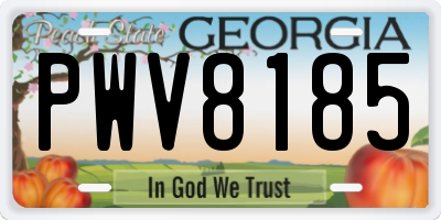 GA license plate PWV8185