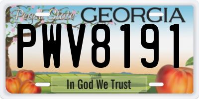 GA license plate PWV8191