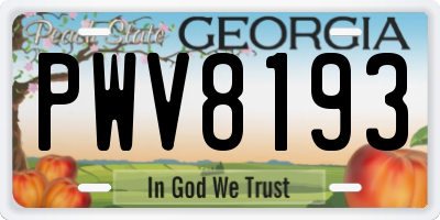 GA license plate PWV8193