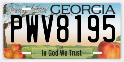 GA license plate PWV8195