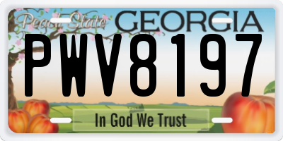 GA license plate PWV8197